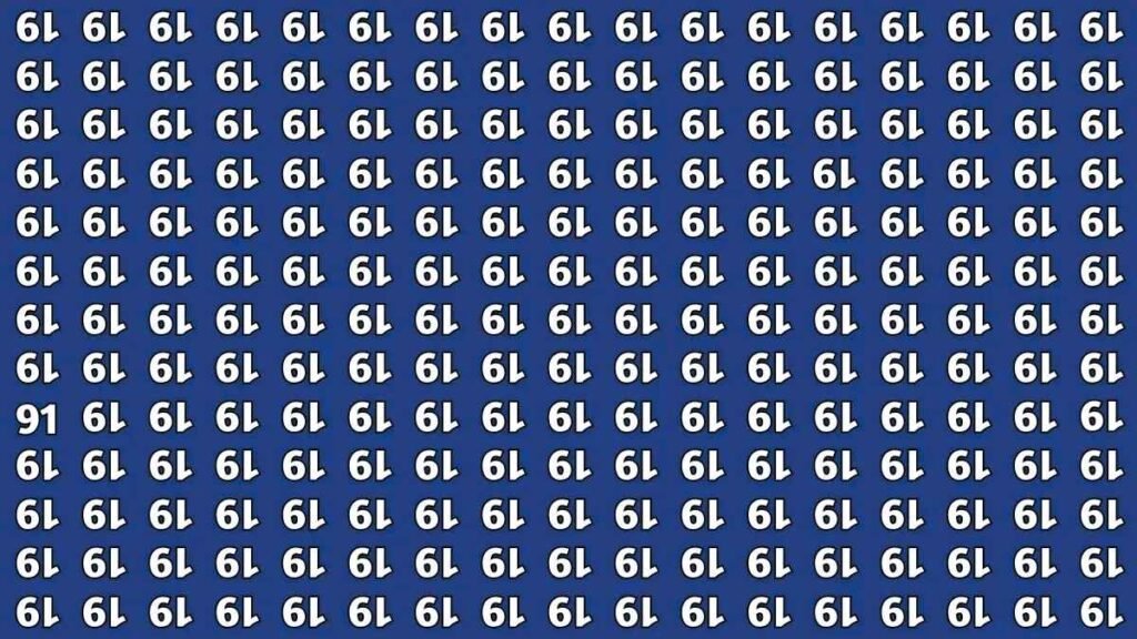 How Good Is Your Vision? Find the Inverted 91 Hidden in This Puzzle