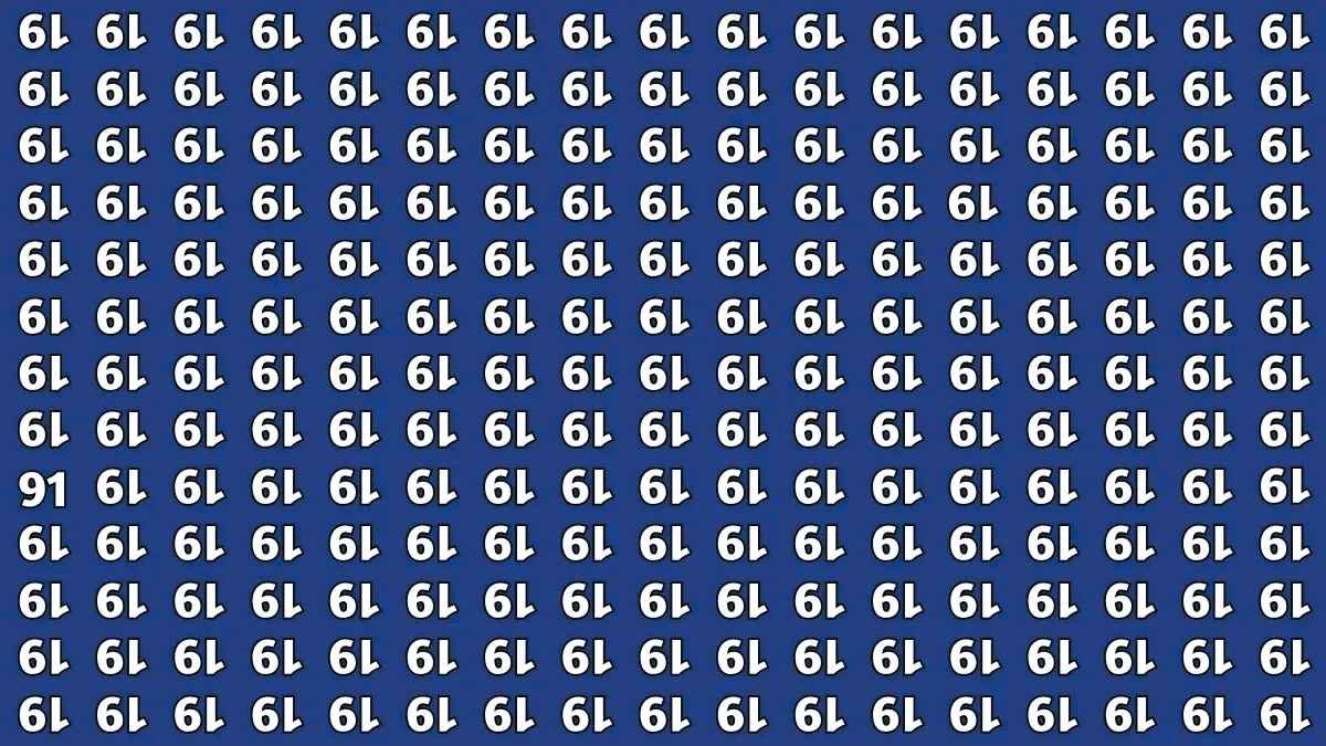 How Good Is Your Vision? Find the Inverted 91 Hidden in This Puzzle