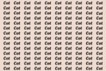 Why Most People Struggle to Spot the Word “Cat” Among “Cot” in 6 Seconds
